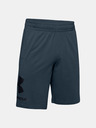 Under Armour Férfi rövidnadrágok Under Armour COTTON BIG LOGO SHORTS