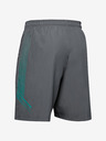 Under Armour Férfi rövidnadrágok Under Armour Woven Graphic Shorts