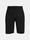 Under Armour Férfi rövidnadrágok Under Armour UA Raid 2.0 Shorts
