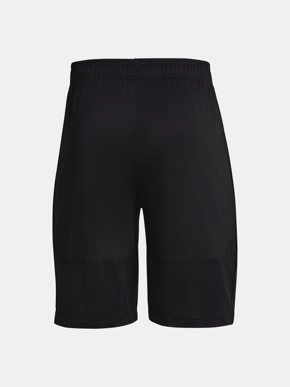 Under Armour Férfi rövidnadrágok Under Armour UA Raid 2.0 Shorts