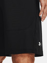 Under Armour Férfi rövidnadrágok Under Armour UA Raid 2.0 Shorts