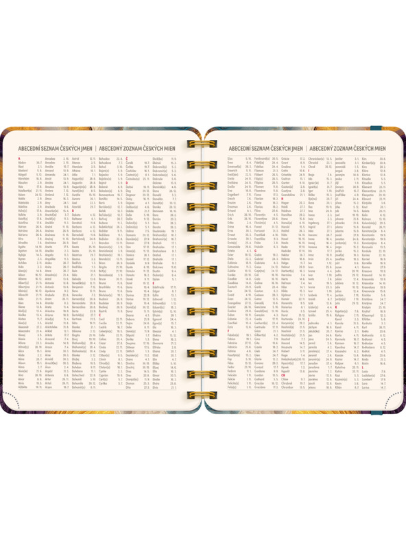 NOTIQUE NOTIQUE Spirális 18 hónapos naptár Petito – Színes achát 2026/2027, 13 x 18 cm