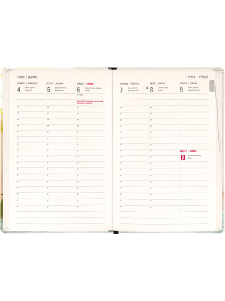NOTIQUE NOTIQUE 18 hónapos naptár Petito – Kapibara 2026/2027, 11 x 16 cm