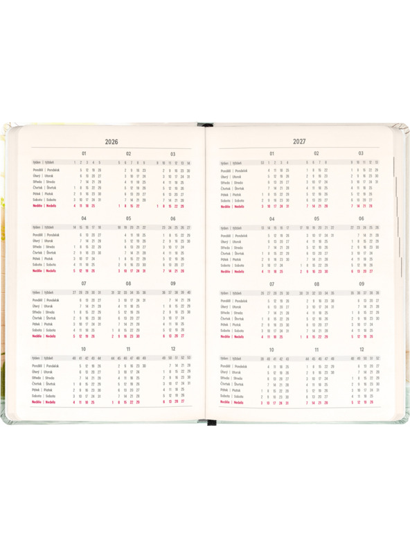 NOTIQUE NOTIQUE 18 hónapos naptár Petito – Kapibara 2026/2027, 11 x 16 cm