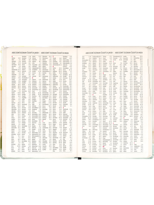 NOTIQUE NOTIQUE 18 hónapos naptár Petito – Kapibara 2026/2027, 11 x 16 cm