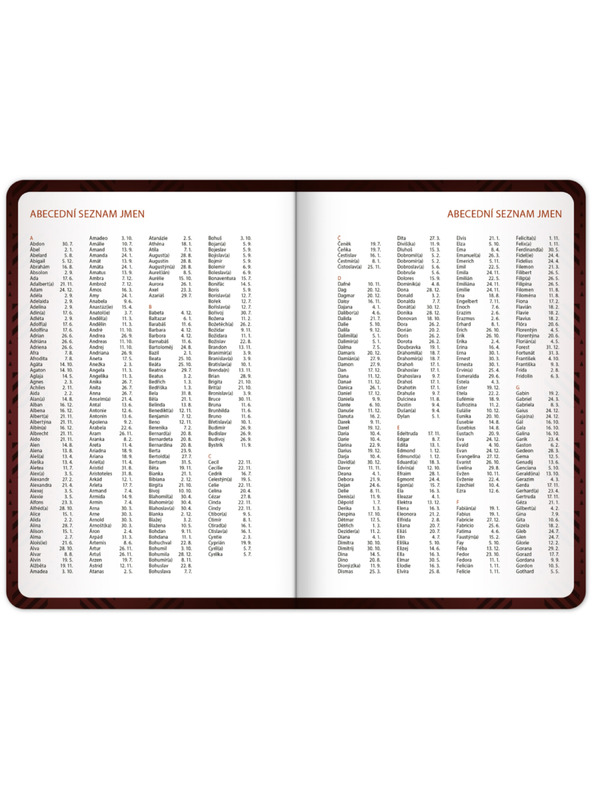 NOTIQUE NOTIQUE Diák naptár Harry Potter (szeptember 2026 – december 2027), 9,8 x 14,5 cm