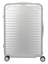 Titan Utazási bőrönd Titan Eternity L Silver