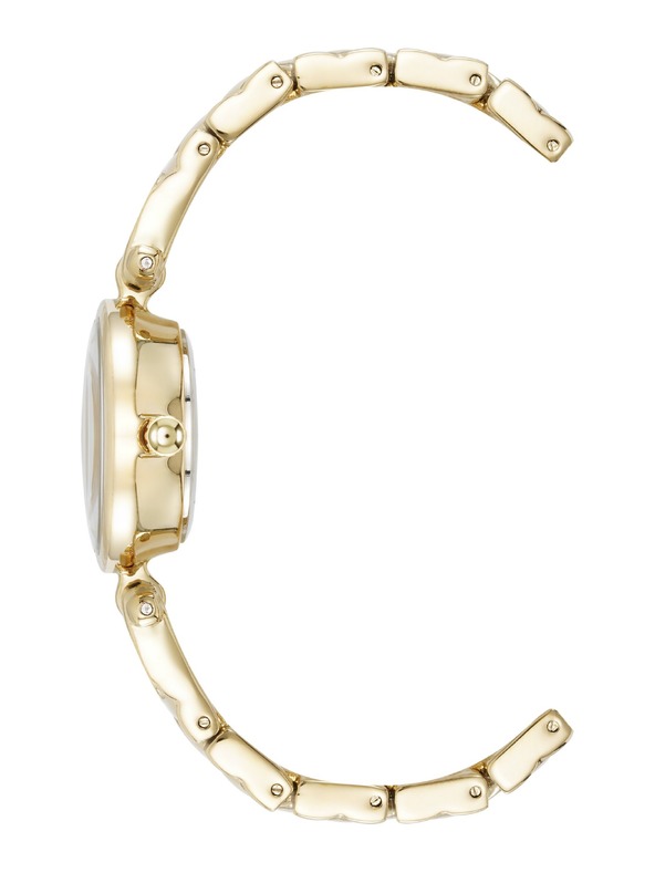 Anne Klein Női kerek óra Anne Klein AK/5422CHGB