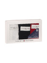 Tommy Hilfiger Készlet három - női tanga Tommy Hilfiger nagyobb méret többszínű