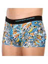 69slam Férfi boxeralsó 69SLAM hip exotic sea mason