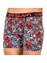 69slam Férfi boxeralsó 69SLAM fit bambusz red sugar crane