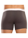 69slam Férfi boxeralsó 69SLAM fit bambusz plain
