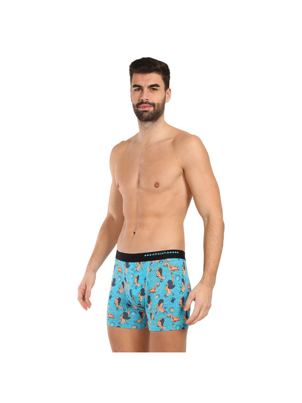 69slam Férfi boxeralsó 69SLAM fit bamboo getting wet light gilbert