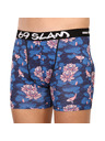 69slam Férfi boxeralsó 69SLAM fit lotus koy dylan