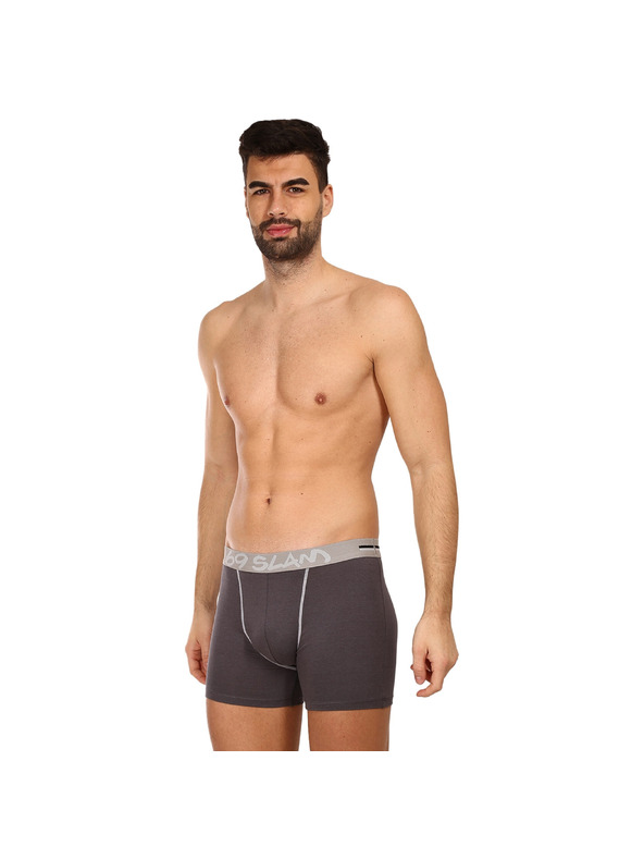 69slam Férfi boxeralsó 69SLAM fit bambusz plain