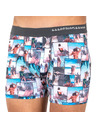 69slam Férfi boxeralsó 69SLAM fit under the palm