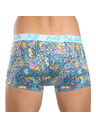 69slam Férfi boxeralsó 69SLAM Hip TROPICAL VISION MASON