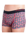 69slam Férfi boxeralsó 69SLAM hip flower skull