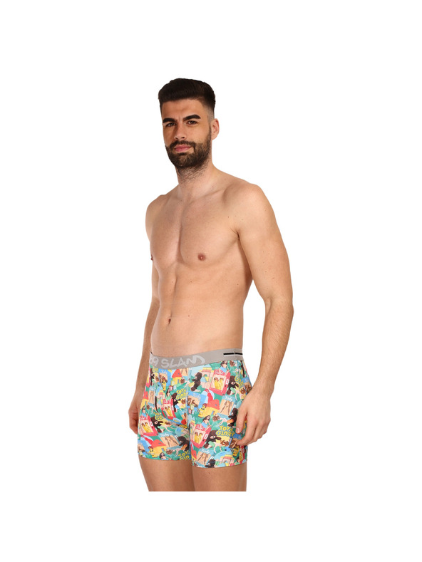 69slam Férfi boxeralsó 69SLAM fit toys glory