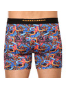 69slam Férfi boxeralsó 69SLAM fit alien eye