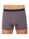 andrie Andrie férfi boxeralsó többszínű (PS 5828/light gray)
