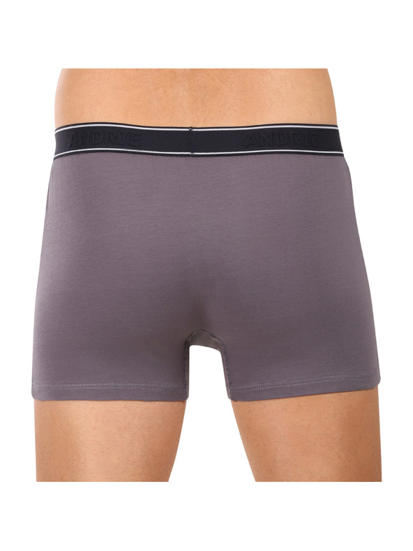 andrie Andrie férfi boxeralsó többszínű (PS 5828/light gray)