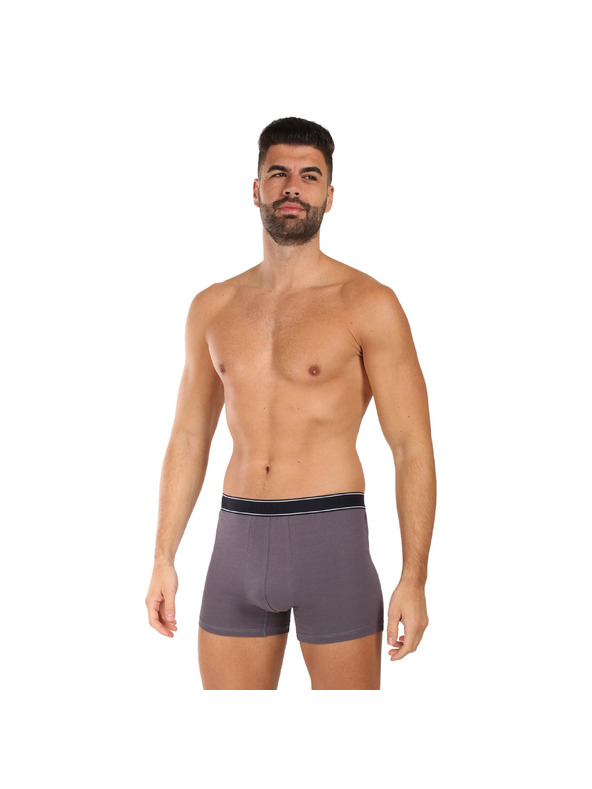 andrie Andrie férfi boxeralsó többszínű (PS 5828/light gray)