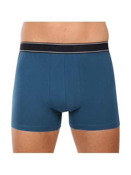 andrie Andrie férfi boxeralsó többszínű (PS 5828/green)