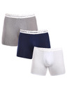 Calvin Klein Három darabos csomag - Calvin Klein férfi boxeralsó többszínű
