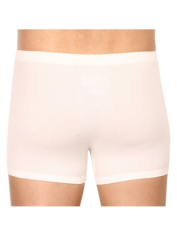 Calvin Klein Három darabos csomag - Calvin Klein férfi boxeralsó többszínű