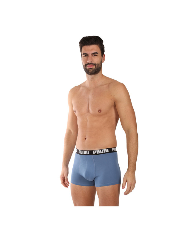 Puma Két darabos szett - Puma férfi boxeralsó többszínű