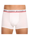Tommy Hilfiger Hármas szett - Tommy Hilfiger férfi boxeralsó többszínű