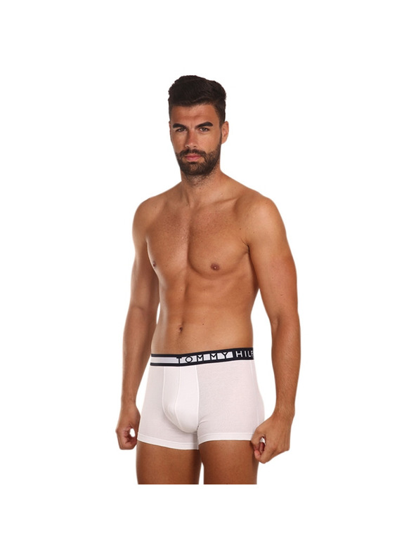 Tommy Hilfiger Hármas szett - Tommy Hilfiger férfi boxeralsó többszínű