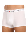 Tommy Hilfiger Hármas szett - Tommy Hilfiger férfi boxeralsó többszínű
