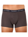 Tommy Hilfiger Hármas szett - Tommy Hilfiger férfi boxeralsó többszínű