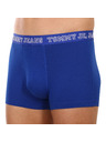 Tommy Hilfiger Hármas szett - Tommy Hilfiger férfi boxeralsó többszínű