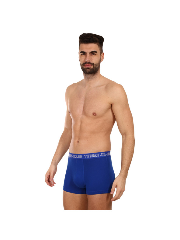 Tommy Hilfiger Hármas szett - Tommy Hilfiger férfi boxeralsó többszínű