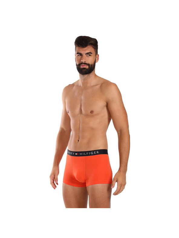 Tommy Hilfiger Hármas szett - Tommy Hilfiger férfi boxeralsó többszínű