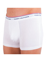 Tommy Hilfiger Hármas szett - Tommy Hilfiger férfi boxeralsó többszínű nagyobb méret