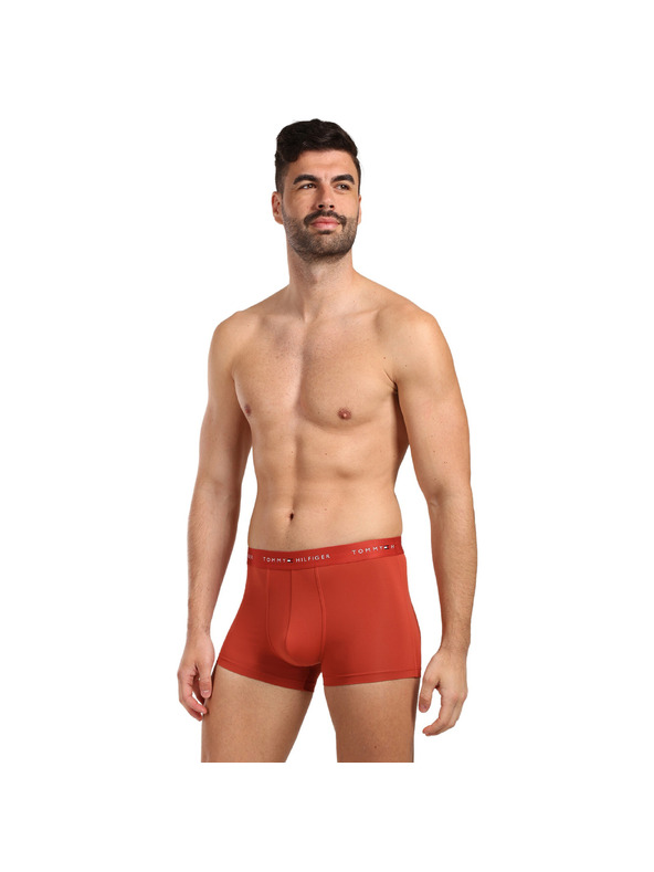 Tommy Hilfiger Hármas szett - Tommy Hilfiger férfi boxeralsó többszínű