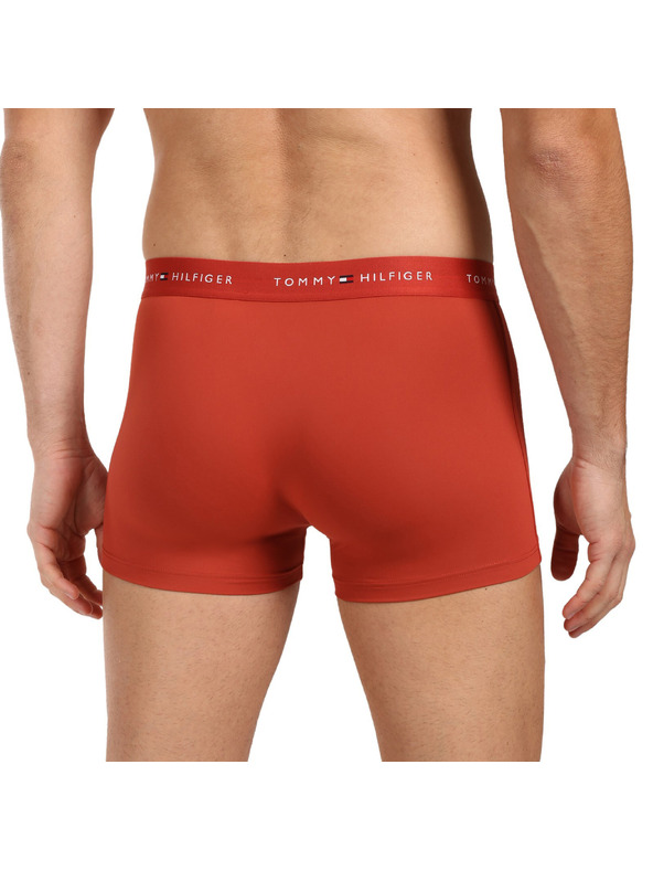 Tommy Hilfiger Hármas szett - Tommy Hilfiger férfi boxeralsó többszínű