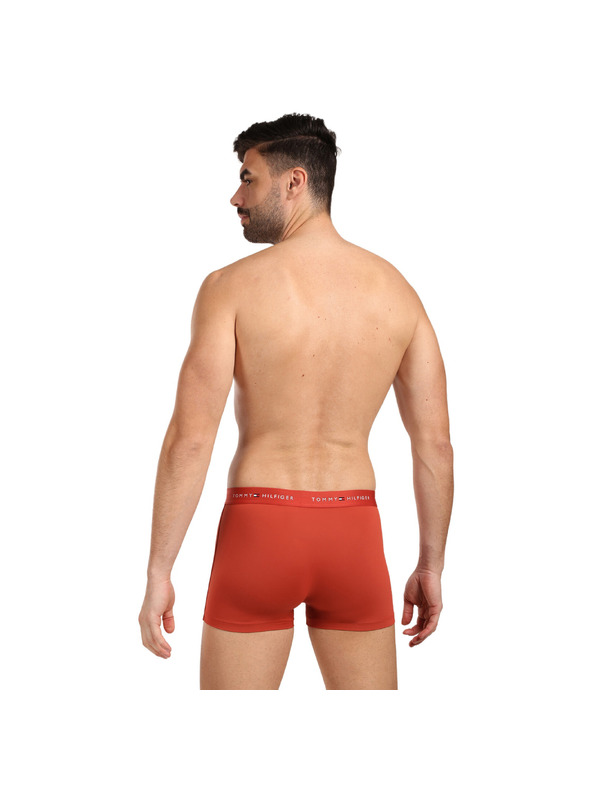 Tommy Hilfiger Hármas szett - Tommy Hilfiger férfi boxeralsó többszínű