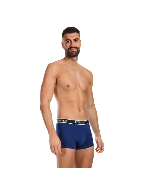 Tommy Hilfiger Hármas szett - Tommy Hilfiger férfi boxeralsó többszínű