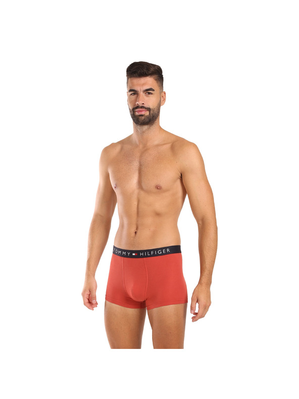 Tommy Hilfiger Hármas szett - Tommy Hilfiger férfi boxeralsó többszínű