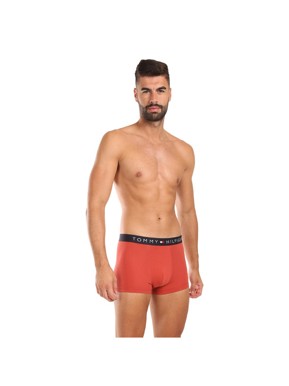 Tommy Hilfiger Hármas szett - Tommy Hilfiger férfi boxeralsó többszínű