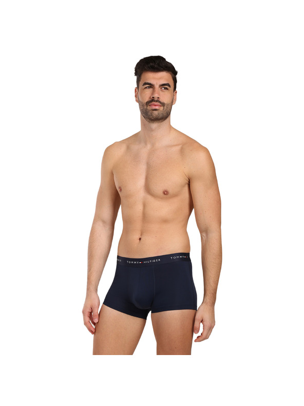 Tommy Hilfiger Hármas szett - Tommy Hilfiger férfi boxeralsó többszínű