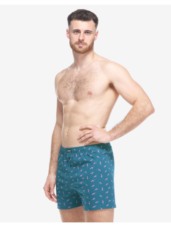gino Gino férfi boxeralsó zöld