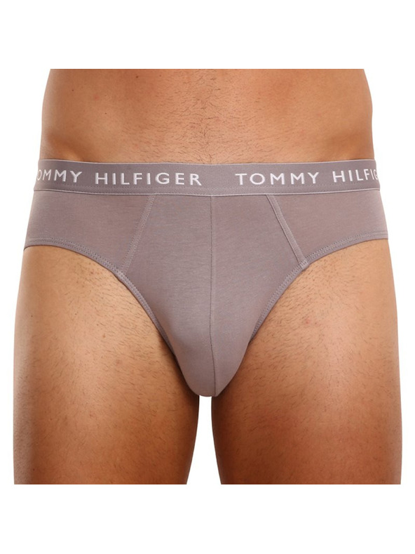 Tommy Hilfiger Hármas csomag - férfi alsónadrág Tommy Hilfiger többszínű