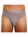 Tommy Hilfiger Hármas csomag - férfi alsónadrág Tommy Hilfiger többszínű