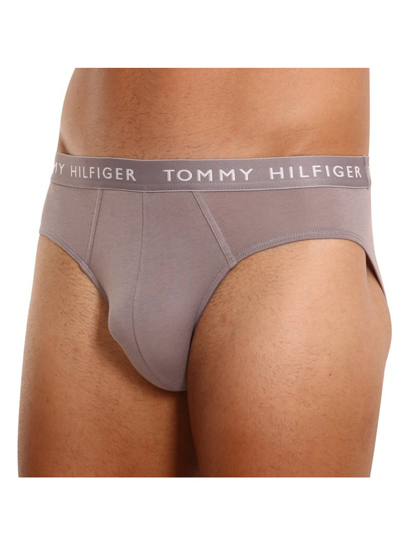 Tommy Hilfiger Hármas csomag - férfi alsónadrág Tommy Hilfiger többszínű
